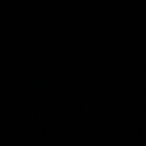 Meet your Posher, Adarien